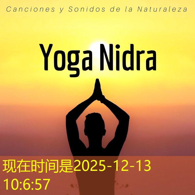 555 rr bet strategy 555 rr bet strategy