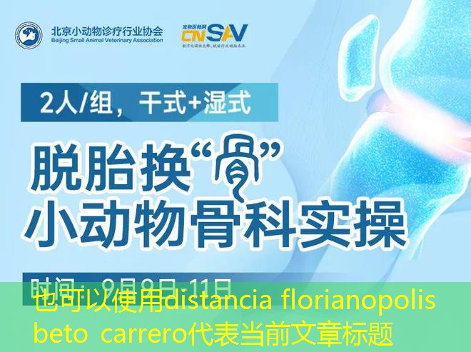 distancia florianopolis beto carrero distancia florianopolis beto carrero