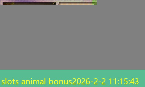 slots animal bonus slots animal bonus